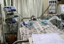 डॉक्टर, नर्स सहित 4 कर्मचारियों की नौकरी गई, मरीज पर चीटी अटैक मामले में CMHO ने लिया एक्शन
