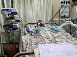 डॉक्टर, नर्स सहित 4 कर्मचारियों की नौकरी गई, मरीज पर चीटी अटैक मामले में CMHO ने लिया एक्शन