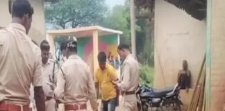 5 लाख की इमारती लकड़ियां जब्त, वन विभाग ने की छापेमारी