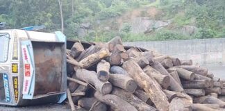 लकड़ी लदे ट्रक दुर्घटनाग्रस्त, सड़क के बीचों-बीच पलटी